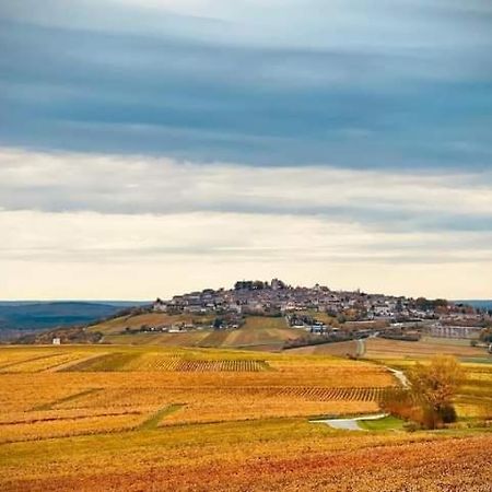 Gite Entre Vignes Et Loire Thauvenay 외부 사진