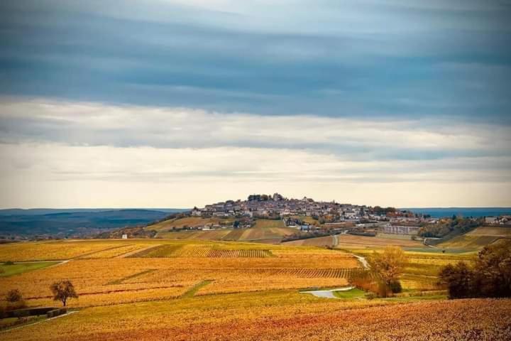 Gite Entre Vignes Et Loire Thauvenay 외부 사진